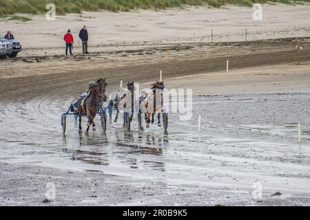 Harness Racing à Harbor View Beach, Kilbrittain, Co. Cork. Mai 2023 Banque D'Images