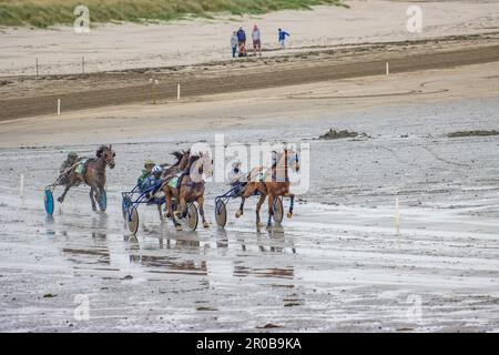 Harness Racing à Harbor View Beach, Kilbrittain, Co. Cork. Mai 2023 Banque D'Images