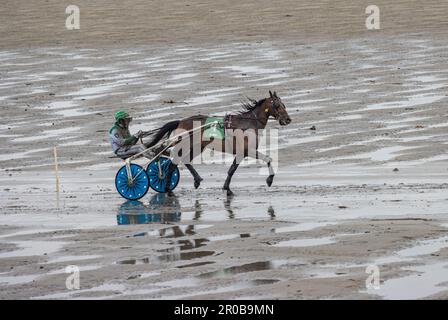 Harness Racing à Harbor View Beach, Kilbrittain, Co. Cork. Mai 2023 Banque D'Images