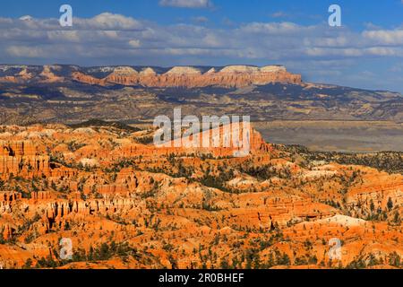 Au centre du cadre se trouve une formation rocheuse connue sous le nom de bateau naufrain, Bryce Amphitheatre of Bryce Canyon Nation Park, Garfield County, Utah, USA. Banque D'Images