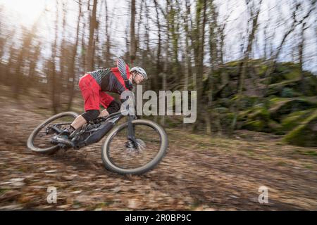 Motard de montagne roulant en descente sur e-bike à travers la piste forestière, Bozen, Trentin, Italie Banque D'Images
