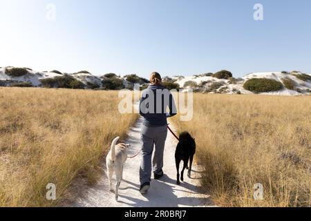 Une femme marche des chiens sur la piste dans le parc national de White Sands Banque D'Images