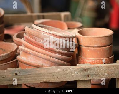 Vieux pots de plantes poussiéreux dans un hangar Banque D'Images