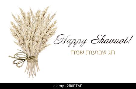 Bannière de bienvenue aquarelle Happy Shavuot, illustration hébraïque Chag Sameach. Bouquet d'oreilles de blé rural avec noeud attaché par corde Banque D'Images