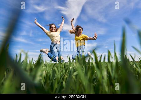 Deux filles de plus de taille sautant pour la joie et ayant le plaisir dans un champ de blé Banque D'Images