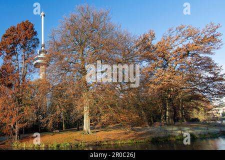 Rotterdam, pays-Bas-décembre 2022 ; vue à angle bas sur l'étang gelé de Het Park avec la tour Euromast en arrière-plan Banque D'Images