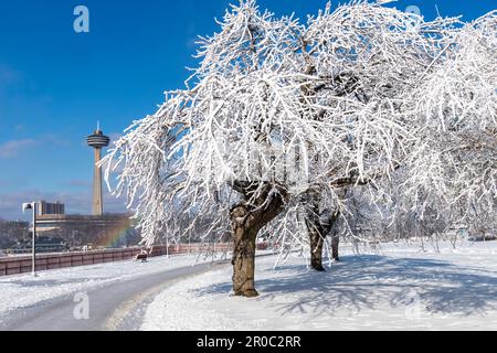 Niagara Falls State Park, NY, États-Unis-février 2023 ; vue sur les arbres blancs givrés à Prospect point à la suite des projections d'eau provenant des chutes Banque D'Images