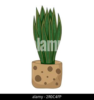 Dessin à la main mignon été illustration de la croissance sansevieria dans le pot. Icône Vector simple de couleur Home Plant. Illustration de Vecteur