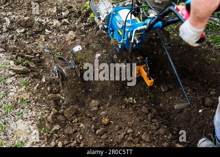 Labourage de la terre dans le jardin à l'aide d'un cultivateur à moteur Banque D'Images