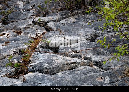 Des rochers calcaires sur les landes du Yorkshire Banque D'Images