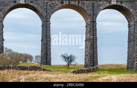 Traversée du viaduc de Ribble, Yorkshire, Royaume-Uni Banque D'Images