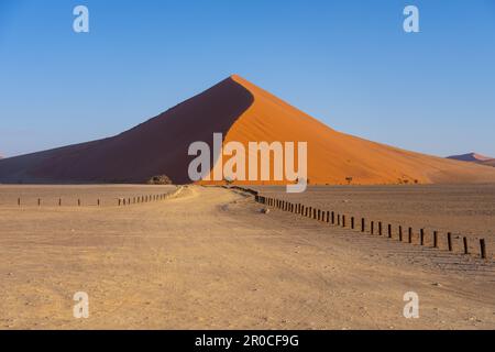 Les dunes de sable rouge, Sossusvlei, parc national Namib-Naukluft, Namibie. La couleur rouge est une indication de l'âge de cette dune causée par le Banque D'Images
