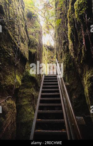 Photo en grand angle d'un escalier étroit entre les rochers mousseux menant à un ciel bleu et lumineux Banque D'Images