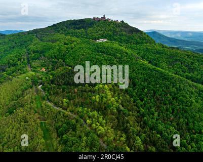 Vue sur l'hôtel de bien-être 'les Chambres du Haut-Koenigsbourg' et le Château du Hautkoenigsburg, Orschwiller, Alsace, France Banque D'Images