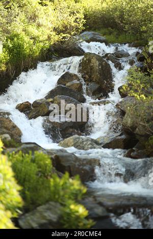 Une scène idyllique de la nature avec une cascade tranquille en cascade sur un ensemble de grandes pierres grises Banque D'Images