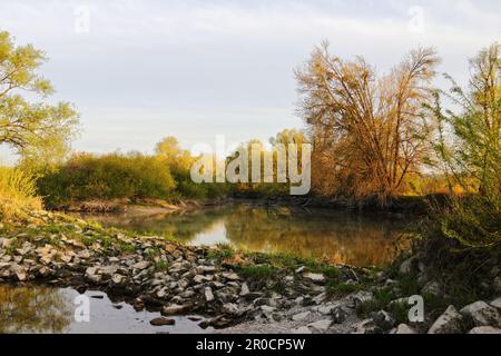 Une vue panoramique sur une rivière avec des pierres et quelques arbres en arrière-plan Banque D'Images