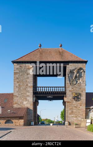 German Wine Gate, Schweigen-Rechtenbach, Palatinat, Rhénanie-Palatinat, Allemagne, Europe Banque D'Images