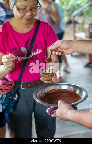 La Virgen, Costa Rica - les visiteurs de la station de recherche Tirimbina apprennent à connaître la plante de cacao et comment le chocolat est fait à partir de fèves de cacao. Banque D'Images