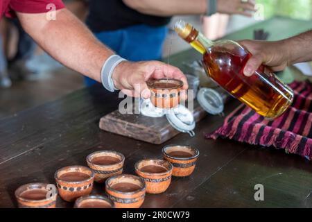 La Virgen, Costa Rica - les visiteurs de la station de recherche Tirimbina apprennent à connaître la plante de cacao et comment le chocolat est fait à partir de fèves de cacao. Banque D'Images