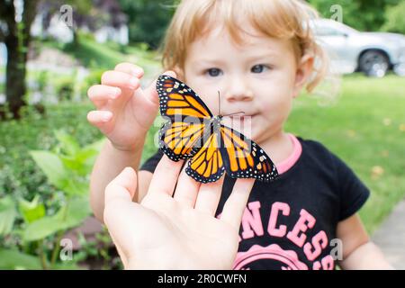 Enfant avec papillon. Tout-petit regardant le monarque papillon Banque D'Images