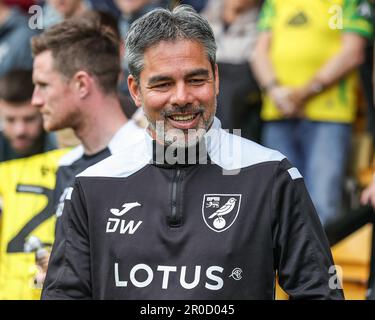 Norwich, Royaume-Uni. 08th mai 2023. David Wagner directeur de Norwich City pendant le match de championnat Sky Bet Norwich City vs Blackpool à Carrow Road, Norwich, Royaume-Uni, 8th mai 2023 (photo de Mark Cosgrove/News Images) à Norwich, Royaume-Uni le 5/8/2023. (Photo de Mark Cosgrove/News Images/Sipa USA) crédit: SIPA USA/Alay Live News Banque D'Images