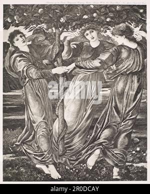 Le jardin des Hesperides,1900. Après : Sir Edward Burne-Jones (d.1898). Éditeur: Berlin Photographic Company Banque D'Images