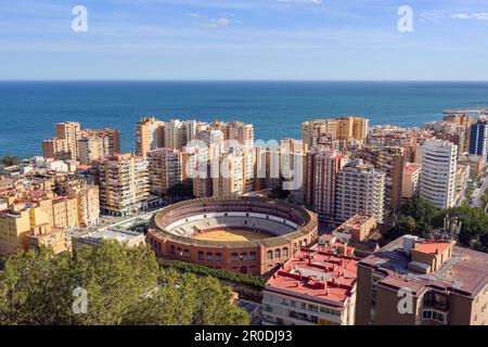 Plaza de Toros de arènes de Ronda à Malaga, Espagne. La Malagueta est l'arène, Malaga, Espagne. Banque D'Images