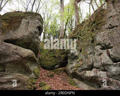 Mullerthal (Waldbillig, canton d'Echternach, Luxembourg) Banque D'Images