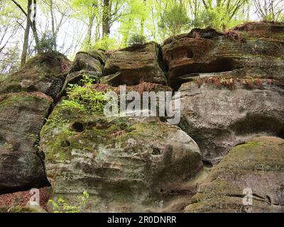 Mullerthal (Waldbillig, canton d'Echternach, Luxembourg) Banque D'Images