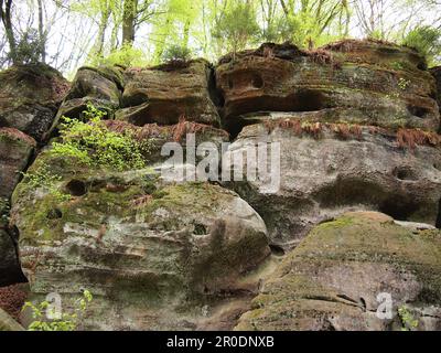 Mullerthal (Waldbillig, canton d'Echternach, Luxembourg) Banque D'Images