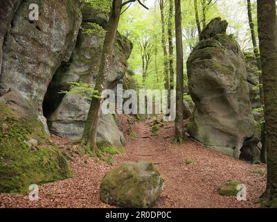 Mullerthal (Waldbillig, canton d'Echternach, Luxembourg) Banque D'Images