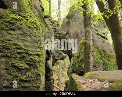 Mullerthal (Waldbillig, canton d'Echternach, Luxembourg) Banque D'Images