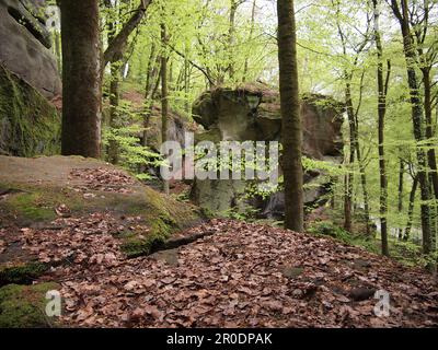 Mullerthal (Waldbillig, canton d'Echternach, Luxembourg) Banque D'Images