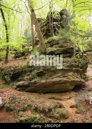 Mullerthal (Waldbillig, canton d'Echternach, Luxembourg) Banque D'Images