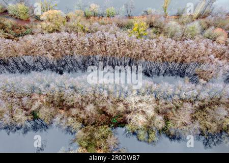 Réserve naturelle de Perl-Besch, Sarre, Allemagne Banque D'Images