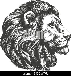 lion animal, roi des bêtes, dessin d'illustration vectorielle dessiné à la main. Illustration de Vecteur