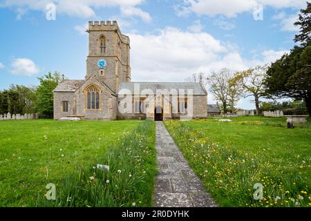 Sentier bordé de buttertasses jaunes et de jonquilles menant à l'église Sainte-Marie dans le village de Burton Bradstock, Dorset, Royaume-Uni, le 5 mai 2023 Banque D'Images