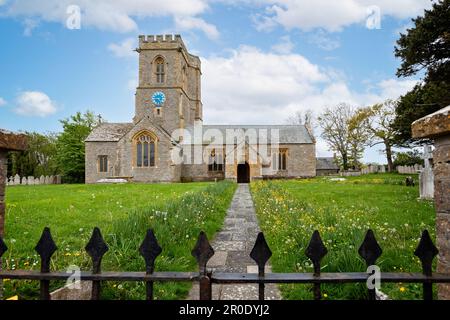 Sentier bordé de buttertasses jaunes et de jonquilles menant à l'église Sainte-Marie dans le village de Burton Bradstock, Dorset, Royaume-Uni, le 5 mai 2023 Banque D'Images