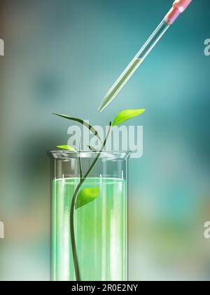 Extrait de plante médicale dans une fiole de laboratoire. Illustration numérique, rendu 3D. Banque D'Images