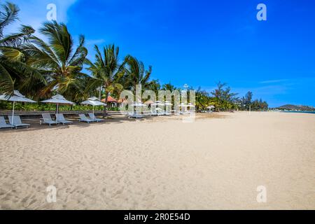 Plage avec parasols et chaises longues, Hôtel Saigon Ninh Chu Resort, Phan rang, Mer de Chine du Sud, province de Ninh Thuan, Phan rang, Vietnam Banque D'Images