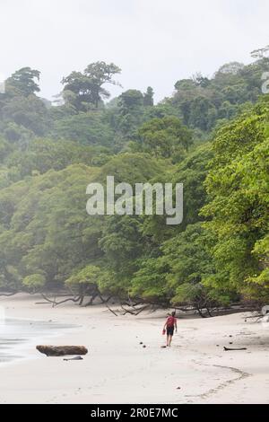 Parc national Manuel Antonio, Puntarenas, Quepos, Costa Rica, Amérique centrale Banque D'Images