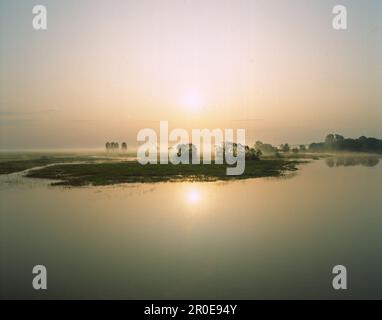 Brouillard matinal sur les lacs masuriques au lever du soleil, Masuria, Pologne Banque D'Images