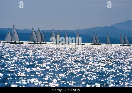 Régate de voile sur le lac Chiemsee, Bavière, Allemagne Banque D'Images