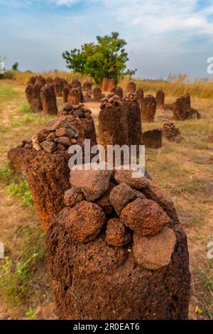 Site de l'UNESCO les cercles de pierre sénégambiens, Wassu, Gambie Banque D'Images