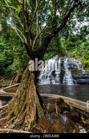 Les cascades de Man, Côte d'Ivoire Banque D'Images