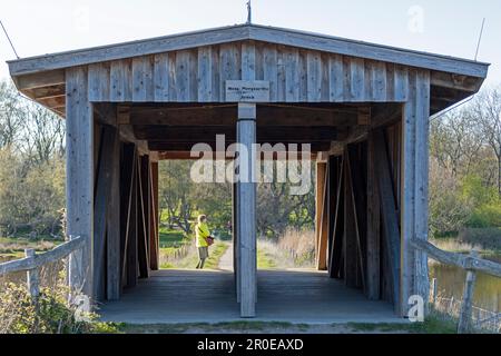 Pont couvert, Grand lagon, Geltinger Birk, Schleswig-Holstein, Allemagne Banque D'Images