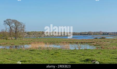 Grande lagune, Geltinger Birk, Schleswig-Holstein, Allemagne Banque D'Images
