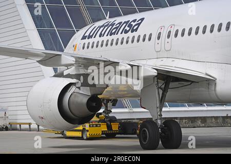 Impressions de l'aéroport Franz Josef Strauss de Munich sur 8 mai 2023. Avions de passagers Lufthansa, au terminal 2. ? Banque D'Images