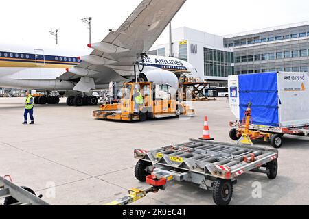 Impressions de l'aéroport Franz Josef Strauss de Munich sur 8 mai 2023. Manutention, chargement d'un Airbus A350 de Singapore Airlines, fret aérien, fret, chargement, déchargement, déchargement. personnel au sol. ? Banque D'Images