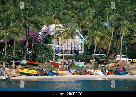 Bateaux de pêche sur la plage sous les palmiers, Britania Bay, Mustique Island, St. Vincent, Grenadines, Caraïbes, Amérique Banque D'Images